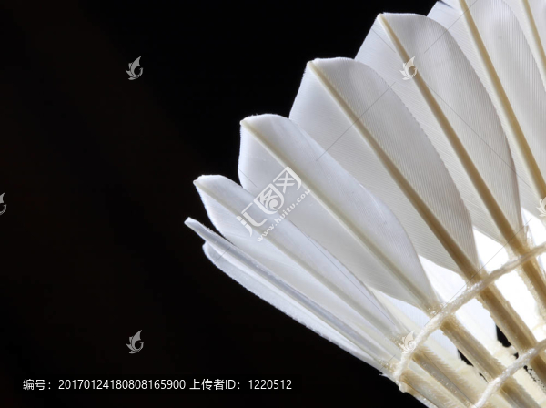 羽毛球