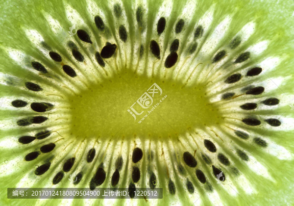 精美圖像特寫獼猴桃背景細(xì)節(jié)