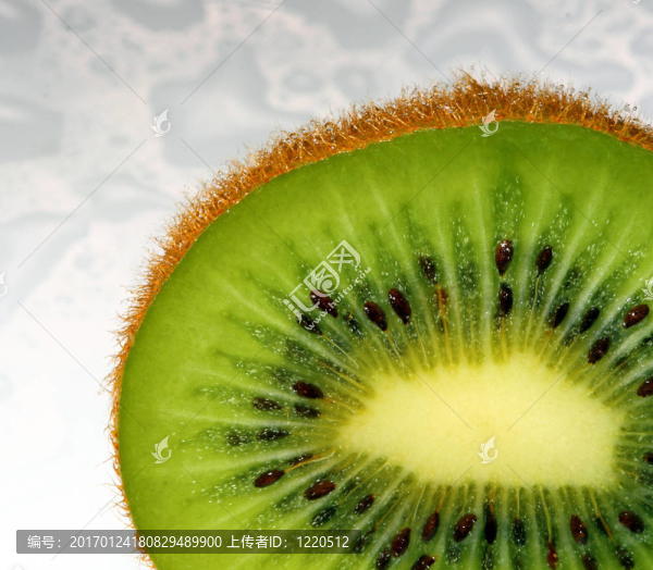 獼猴桃背景下的精細(xì)圖像-匯圖網(wǎng) www.fosd68.com 獼猴桃背景下的精細(xì)圖像