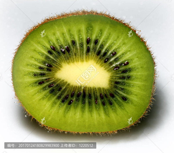 獼猴桃背景下的精細(xì)圖像-匯圖網(wǎng) www.fosd68.com 獼猴桃背景下的精細(xì)圖像