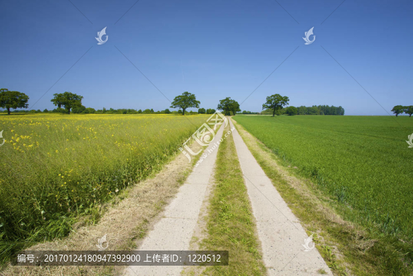 空曠的鄉(xiāng)間路上穿過(guò)綠色的草地