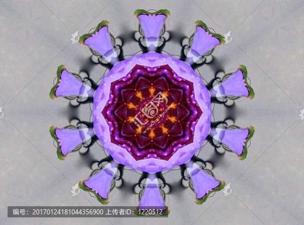 紫星摘要
