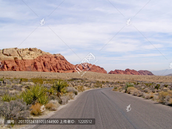 Canyon路