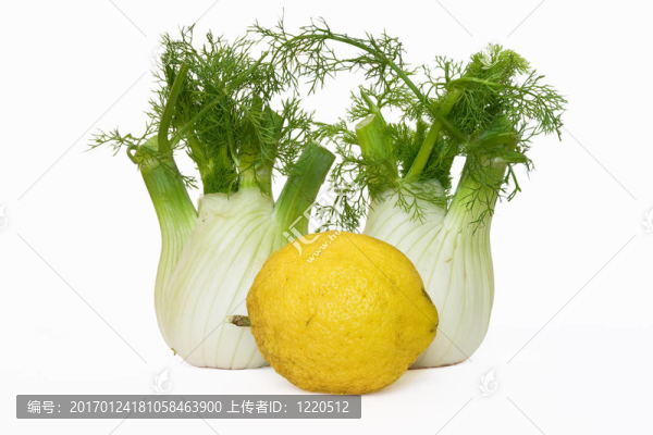 2茴香和檸檬