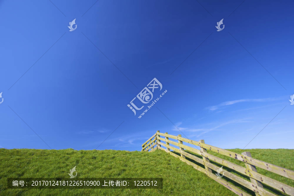 一片翠綠的草地，春天有藍(lán)天