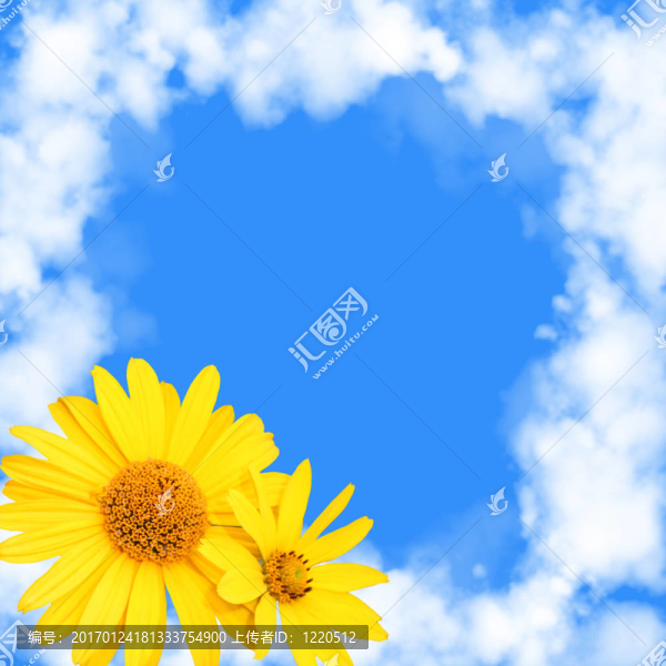 云花-匯圖網(wǎng) www.fosd68.com 云花