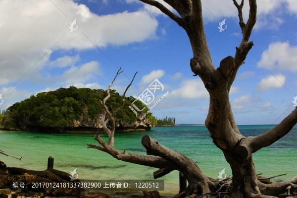 南太平洋海灘島