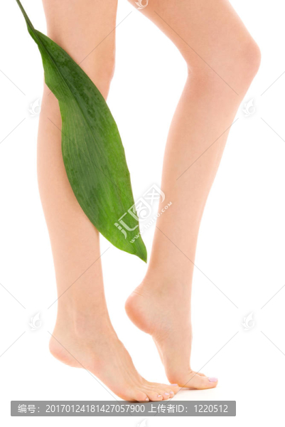 綠葉女腿