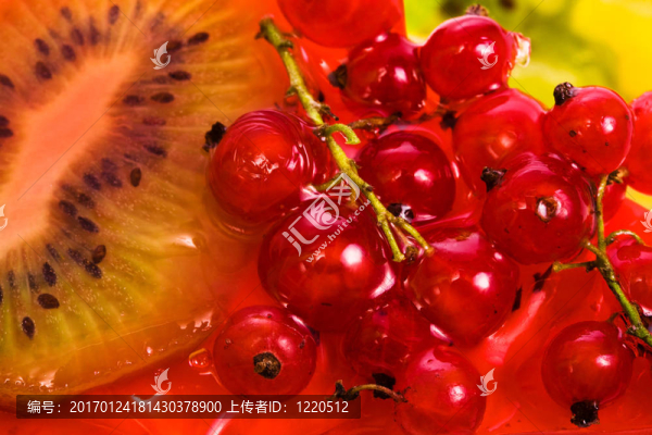 紅醋栗和獼猴桃