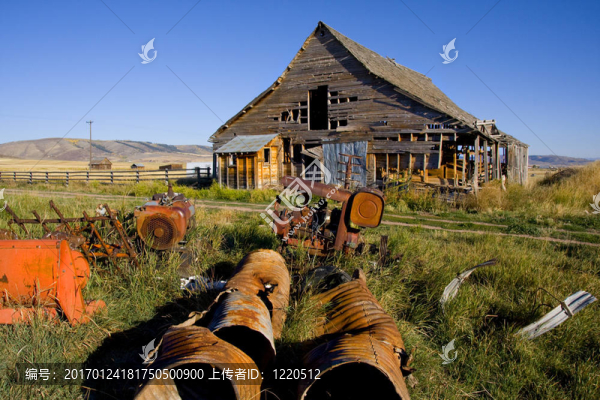 美洲-匯圖網(wǎng) www.fosd68.com 美洲