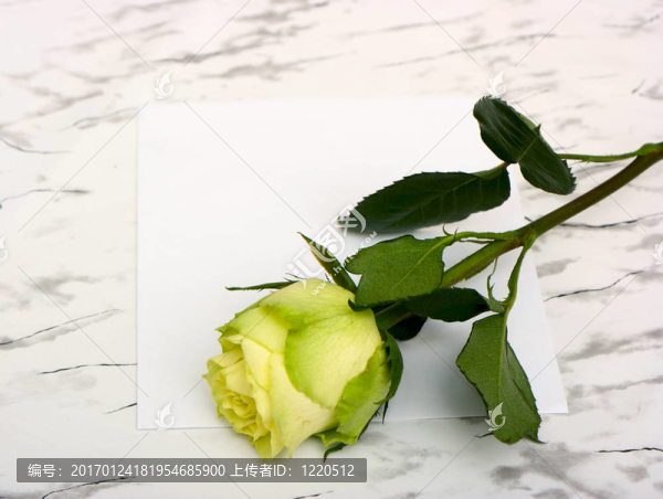 在一張空白的紙上升起