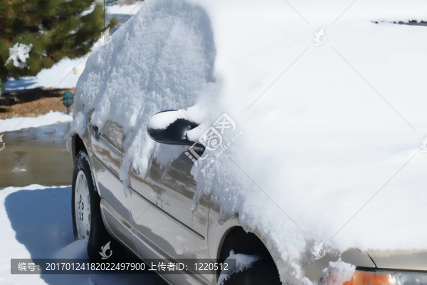 亞利桑那州的雪