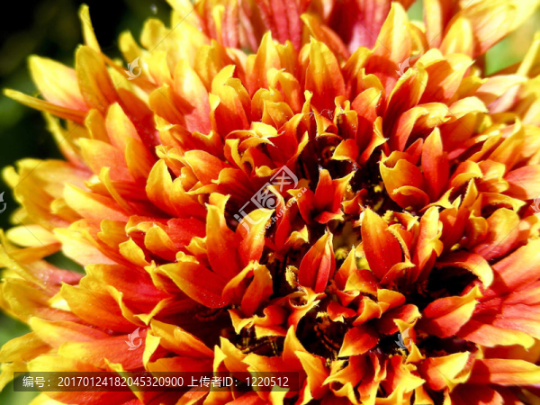 秋天的顏色-匯圖網(wǎng) www.fosd68.com 秋天的顏色