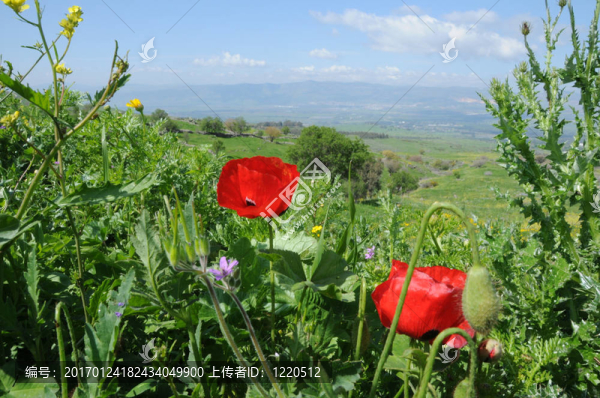 美麗的風(fēng)景-匯圖網(wǎng) www.fosd68.com 美麗的風(fēng)景