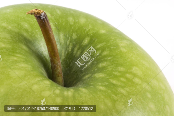 史密斯奶奶近距離。