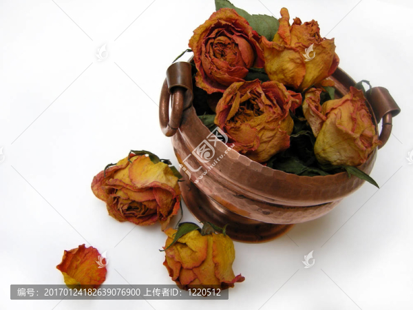 民族盆栽干玫瑰80