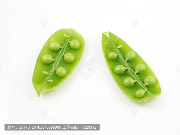豆莢