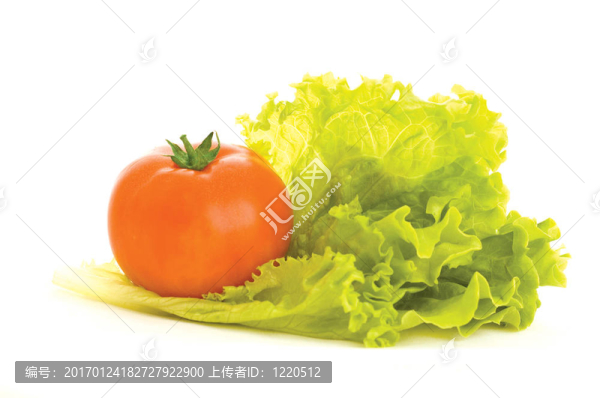 新鮮蔬菜-匯圖網(wǎng) www.fosd68.com 新鮮蔬菜