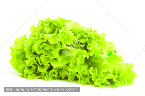 生菜