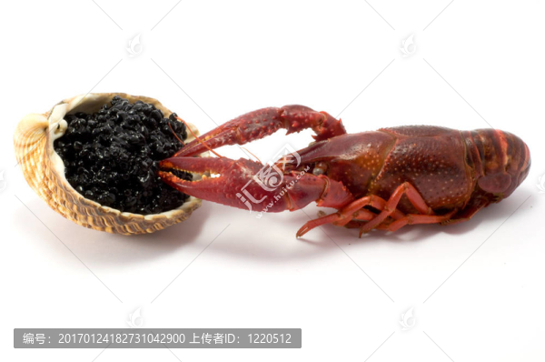 魚子醬