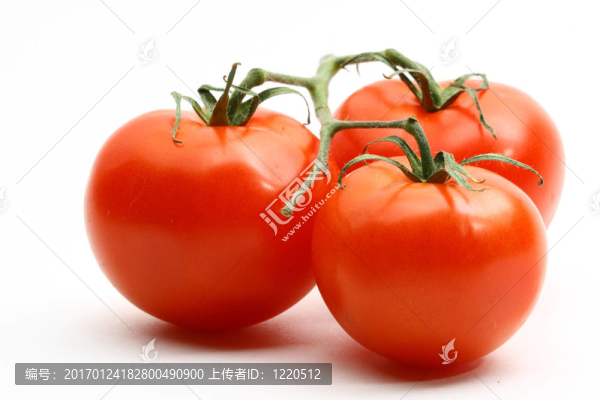 圣女果-匯圖網(wǎng) www.fosd68.com 圣女果