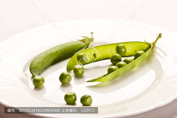 豌豆莢