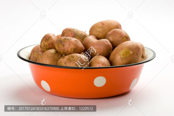 新土豆