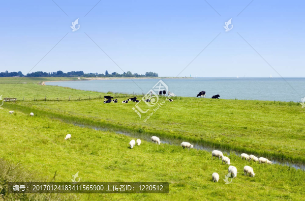 在沿海地區(qū)夏季河流