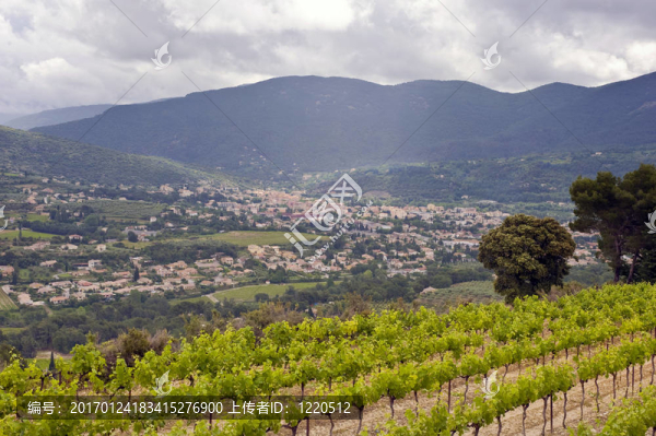 尼永-匯圖網(wǎng) www.fosd68.com 尼永