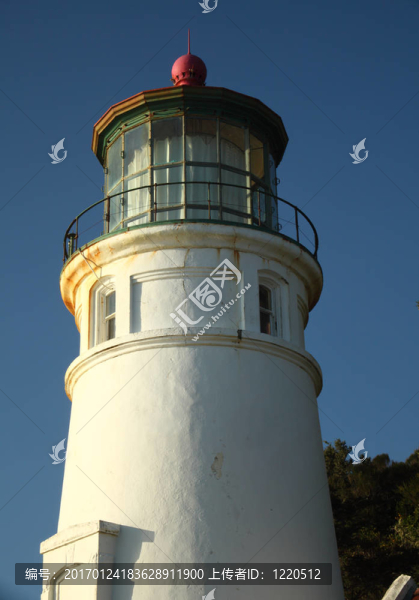 俄勒岡海岸的肖像