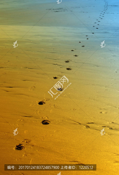 Lone,foot的步驟-匯圖網(wǎng) www.fosd68.com Lone,foot的步驟