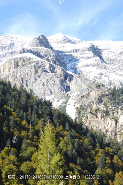 高山121
