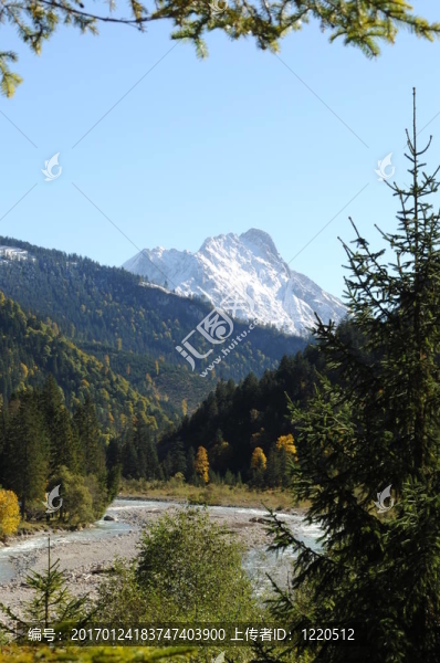 高山134-匯圖網(wǎng) www.fosd68.com 高山134