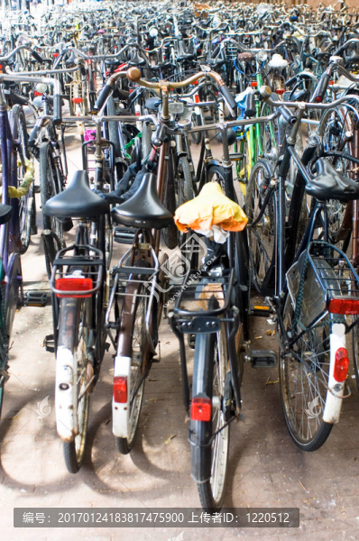 火車站的自行車停放