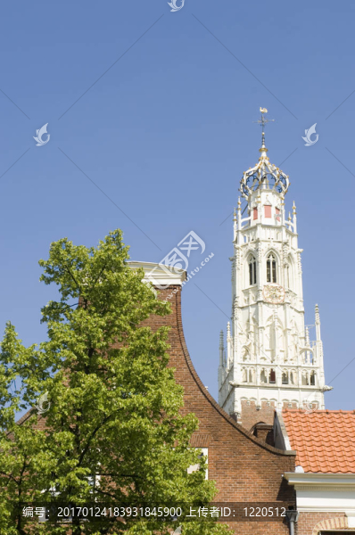 教堂的山墻和樹；