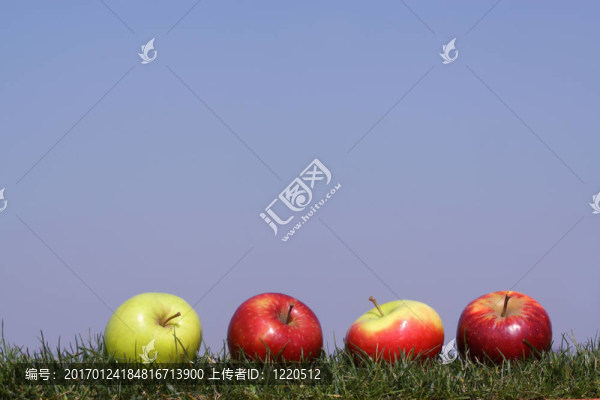 蘋果在草