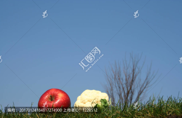 蘋果迷你caulif花草