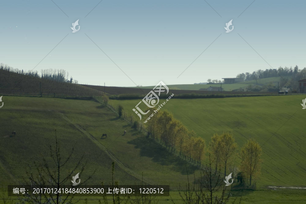 農(nóng)村-匯圖網(wǎng) www.fosd68.com 農(nóng)村