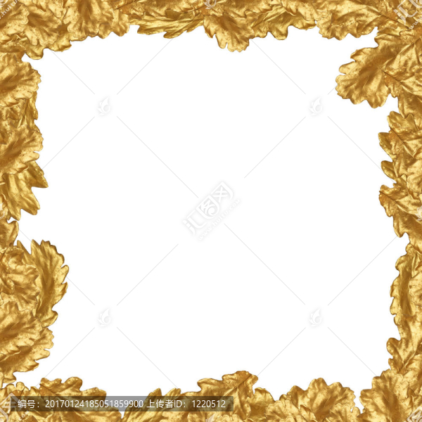 金橡樹葉緣