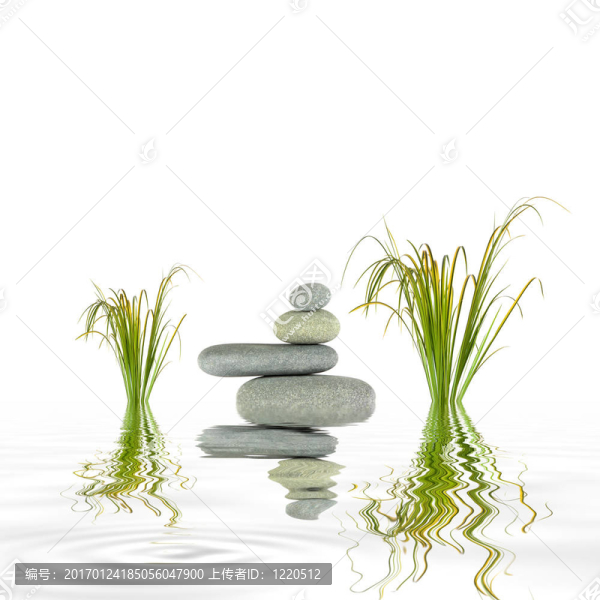 增長(zhǎng)和平衡