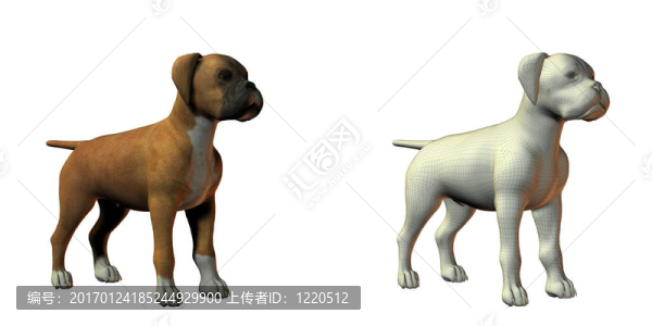 狗三維模型