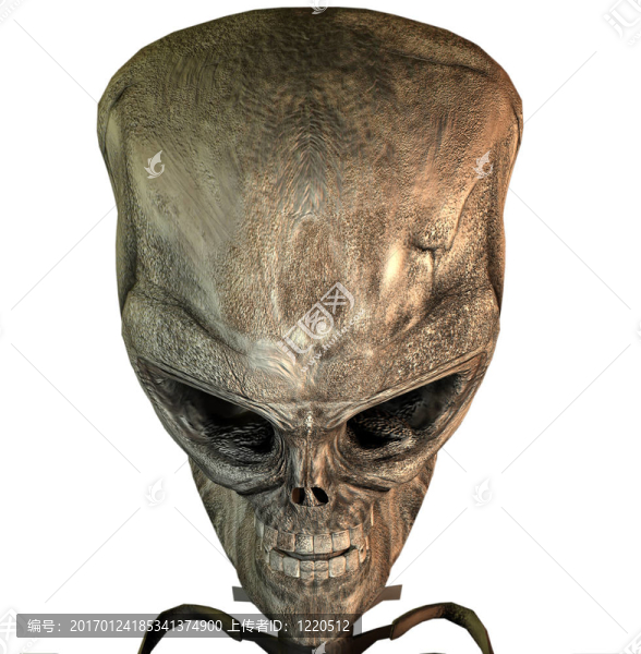 三維顱骨-匯圖網(wǎng) www.fosd68.com 三維顱骨