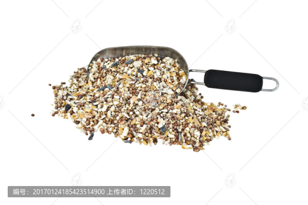 一勺野生鳥類種子