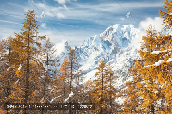 山
