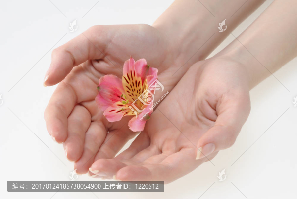 女人手上握著一朵花