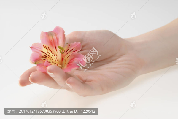 女人手上握著一朵花