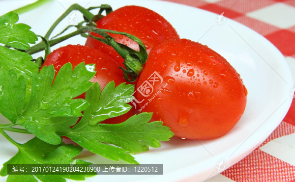 薩拉德