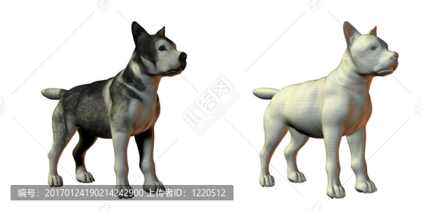 雪橇狗的3D模型