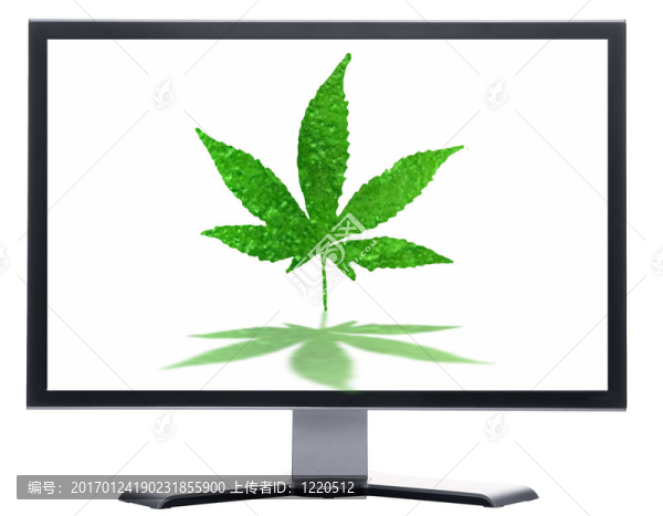 綠色大麻的監(jiān)控