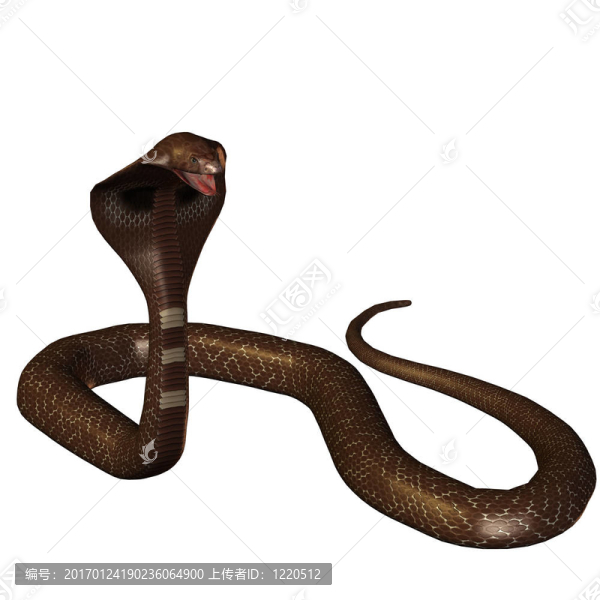 3D蛇眼鏡蛇上的白色孤立